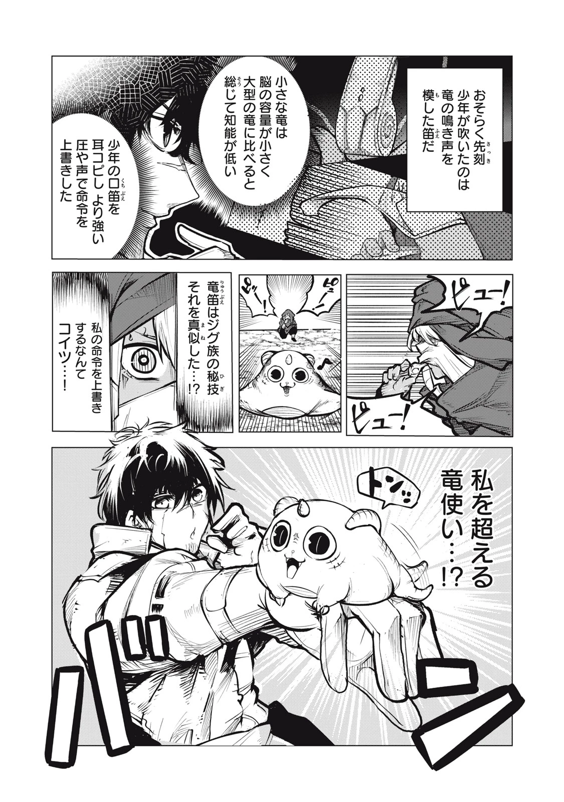 国を追われた竜師さん、拾われた隣国でうっかり無双してしまう。〜弱小国家が大陸最強の竜の楽園になるまで〜 第14.2話 - 12