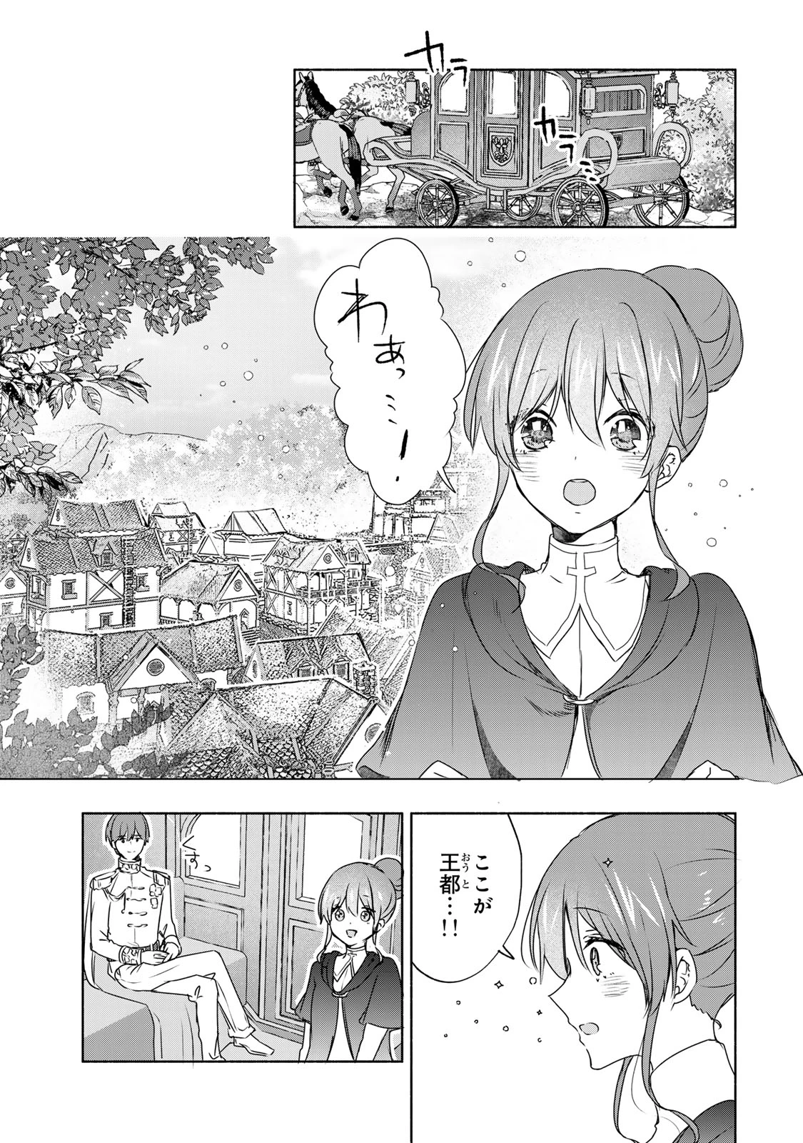 聖女様をお探しでしたら妹で間違いありません。さあどうぞお連れください、今すぐ。 第8話 - 1