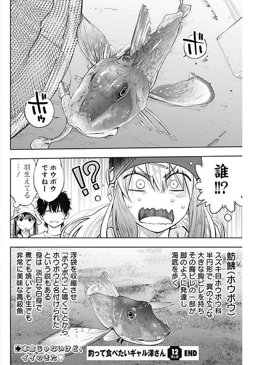 釣って食べたいギャル澤さん 第12話 - 16