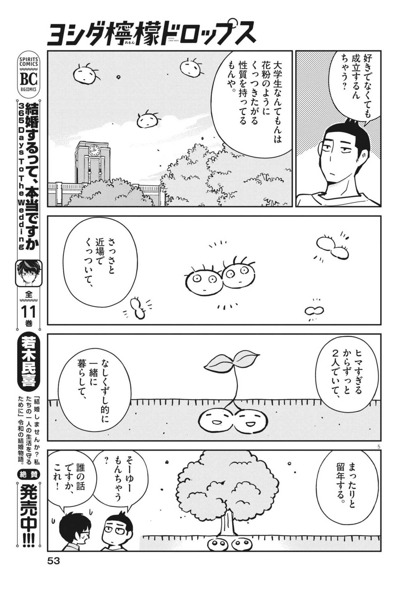 ヨシダ檸檬ドロップス 第13話 - 5