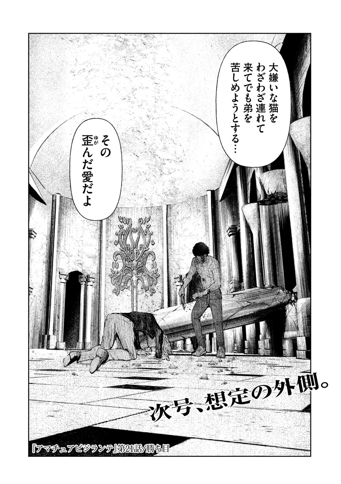 アマチュアビジランテ 第21話 - 20