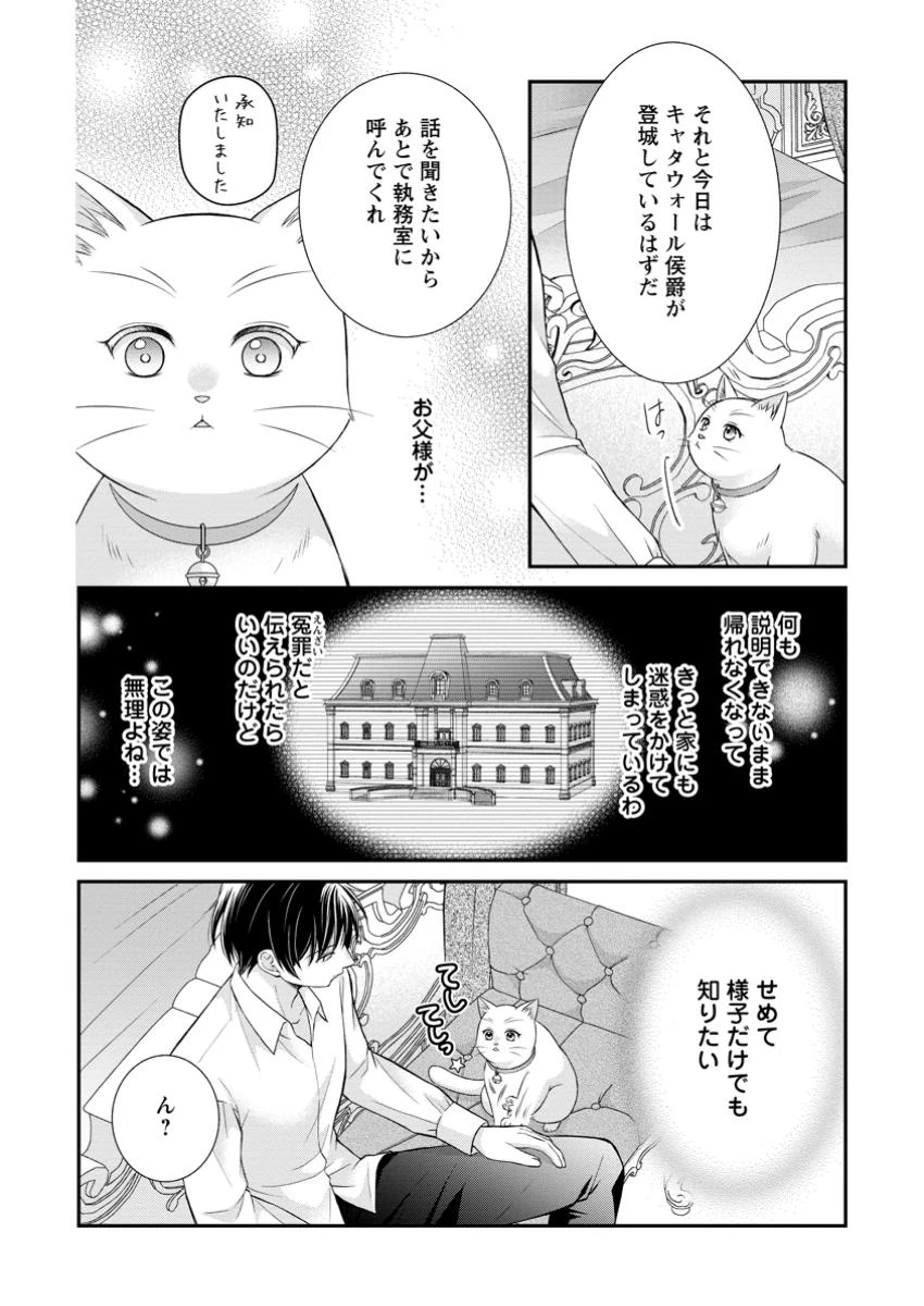 呪いで猫にされた悪女、王太子に拾われる。 第9.2話 - 2