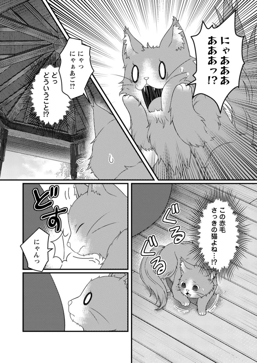 ずたぼろ令嬢は姉の元婚約者に溺愛される 第38.1話 - 2