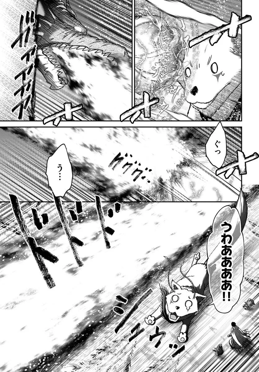 幼馴染のS級パーティーから追放された聖獣使い。万能支援魔法と仲間を増やして最強へ! 第44.1話 - 11