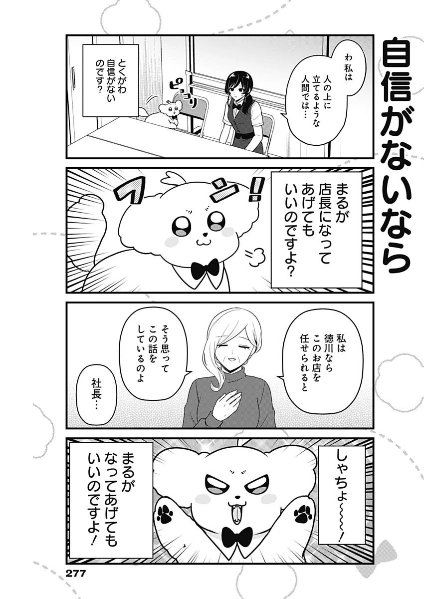 まるくん～はたらくマルチーズ～ 第66話 - 3