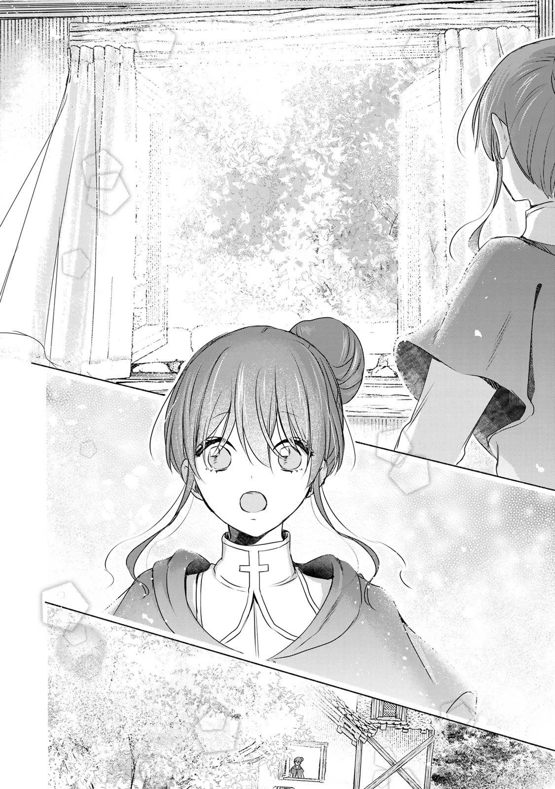 聖女様をお探しでしたら妹で間違いありません。さあどうぞお連れください、今すぐ。 第8.2話 - 8