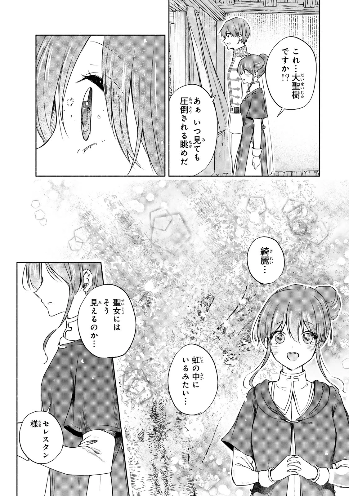 聖女様をお探しでしたら妹で間違いありません。さあどうぞお連れください、今すぐ。 第8.2話 - 9