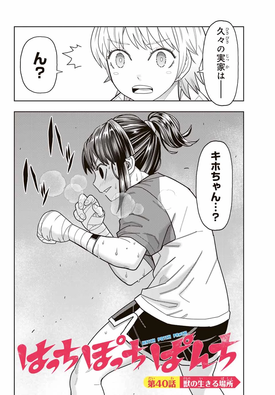 はっちぽっちぱんち 第40話 - 2