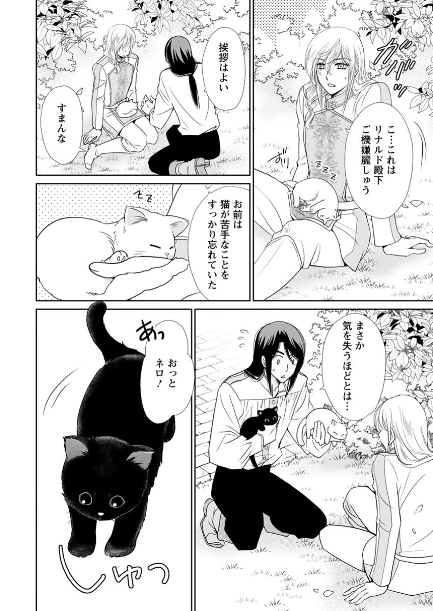 真実の愛を見つけたと言われて婚約破棄されたので、復縁を迫られても今さらもう遅いです！ 第28.2話 - 5