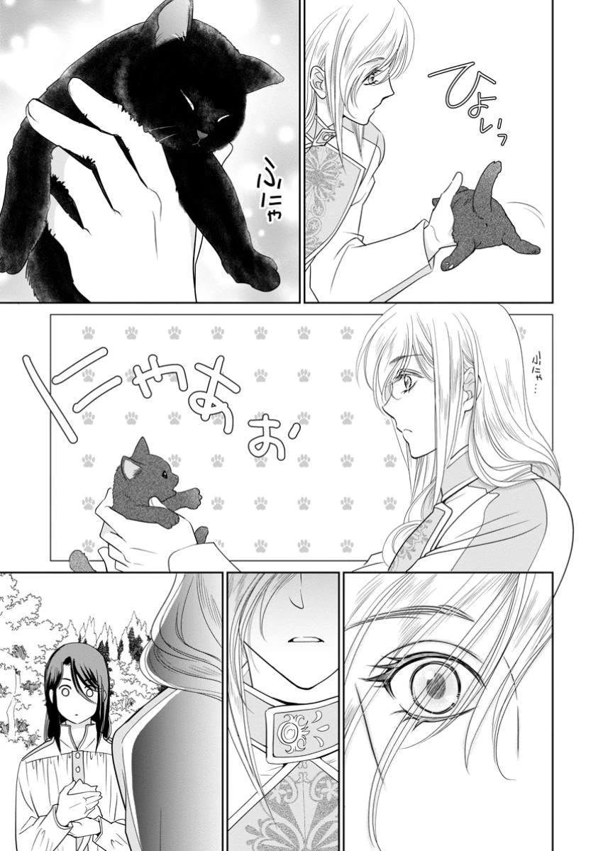 真実の愛を見つけたと言われて婚約破棄されたので、復縁を迫られても今さらもう遅いです！ 第28.2話 - 6