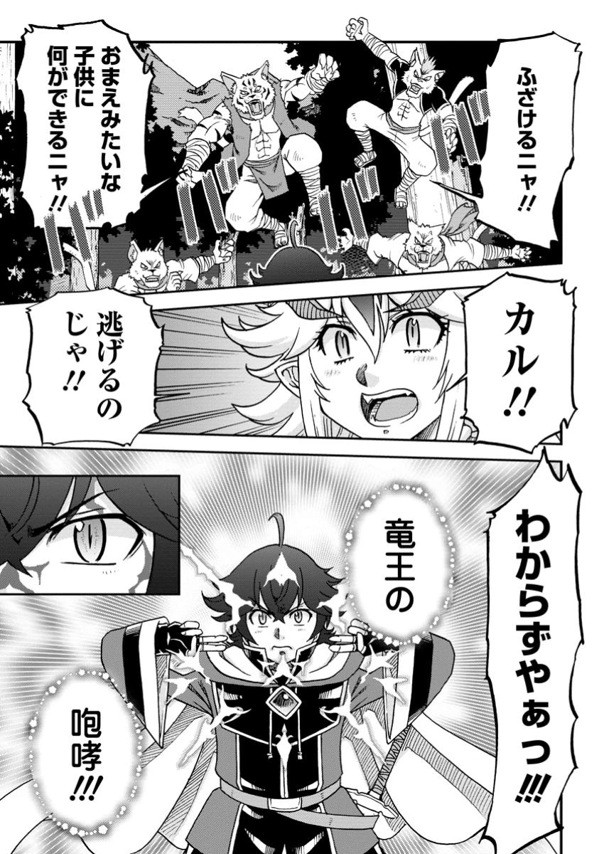 竜王に拾われて魔法を極めた少年、追放を言い渡した家族の前でうっかり無双してしまう～兄上たちが僕の仲間を攻撃するなら、徹底的にやり返します～ 第5.3話 - 8