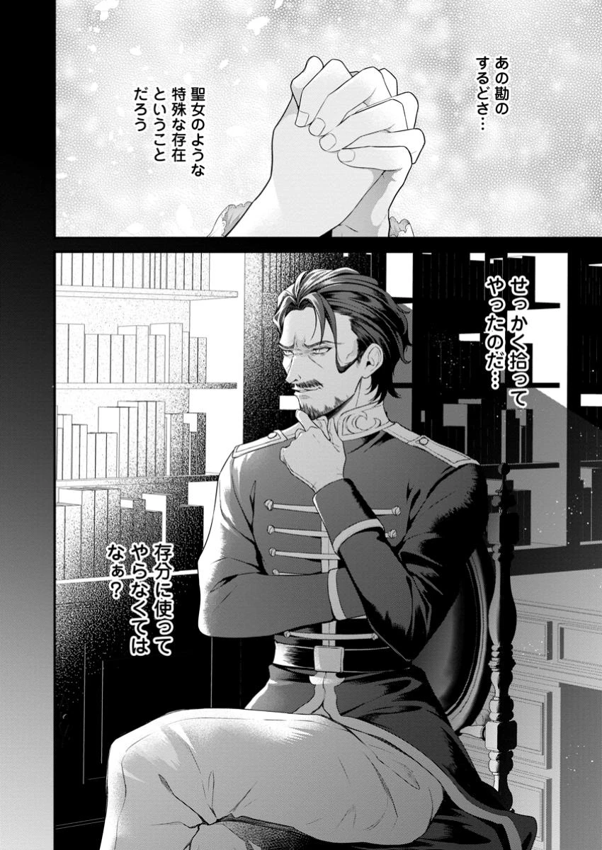 追放聖女のどろんこ農園生活～いつのまにか隣国を救ってしまいました～ 第13.3話 - 10