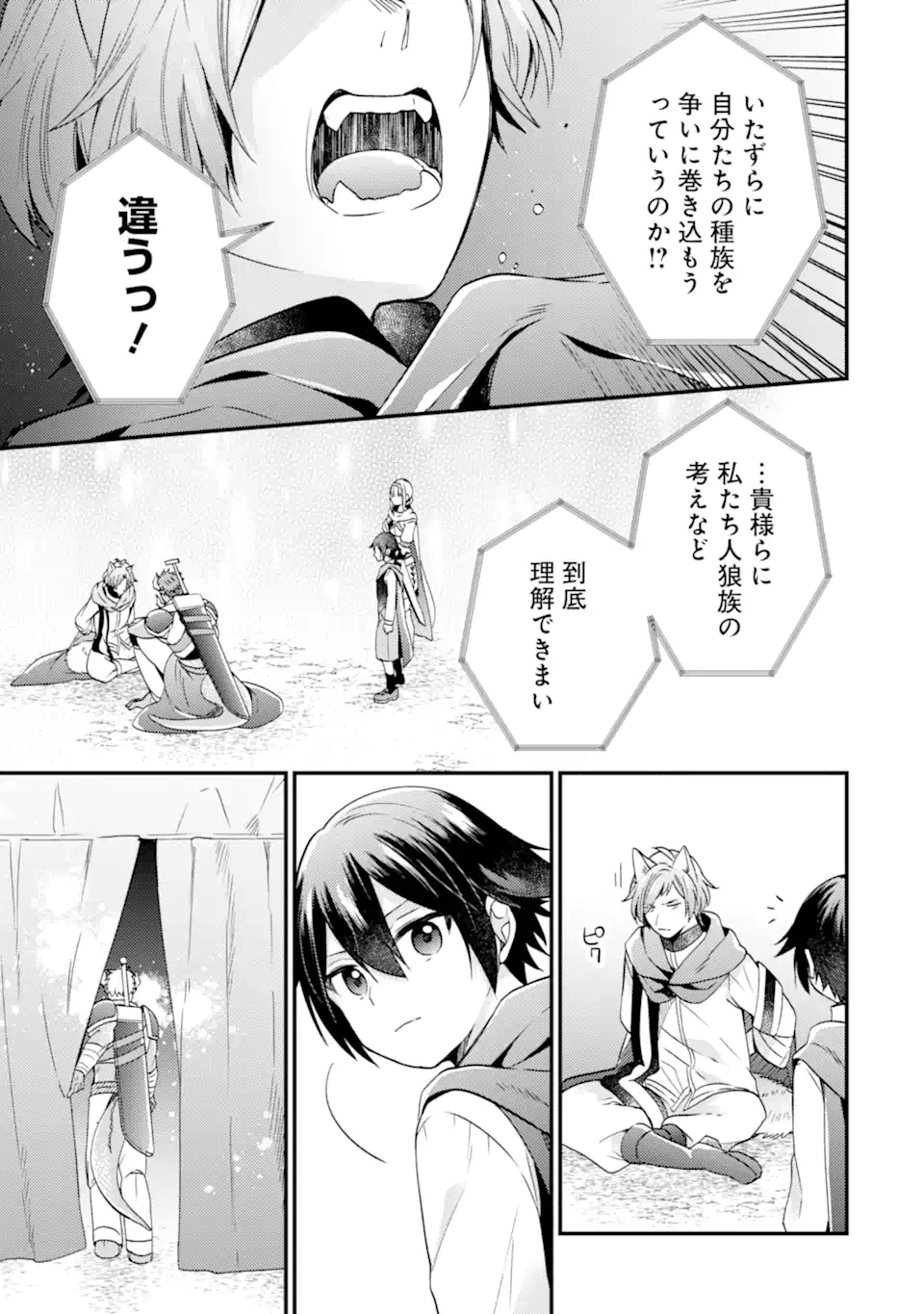 6歳の賢者は日陰の道を歩みたい 第17.1話 - 5