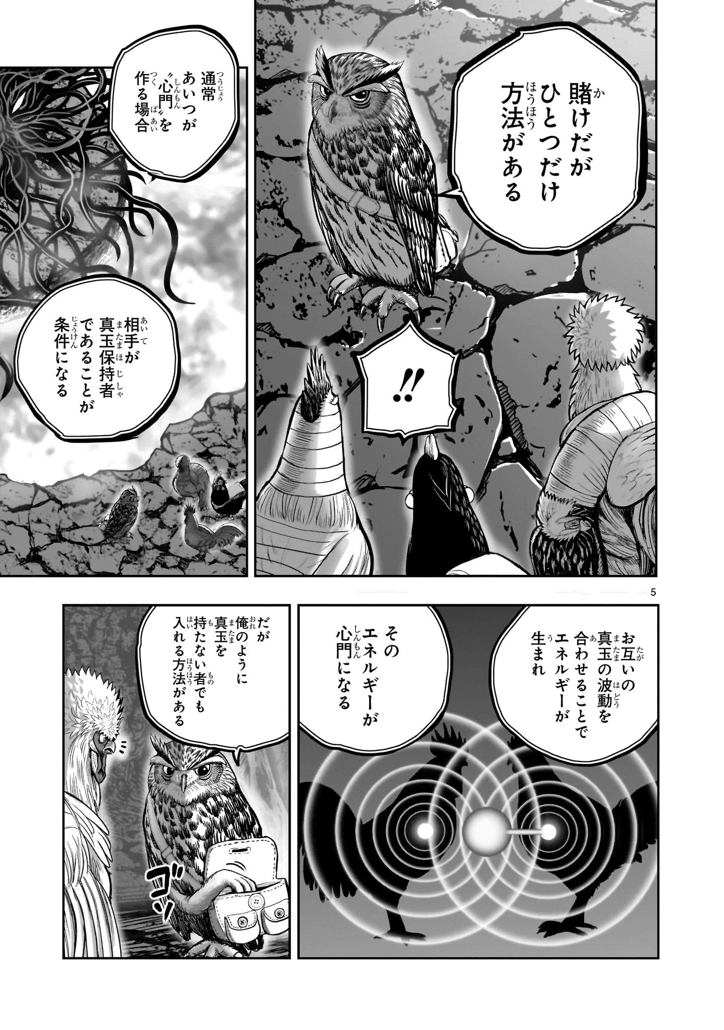 ニワトリ・ファイター 第44話 - 5