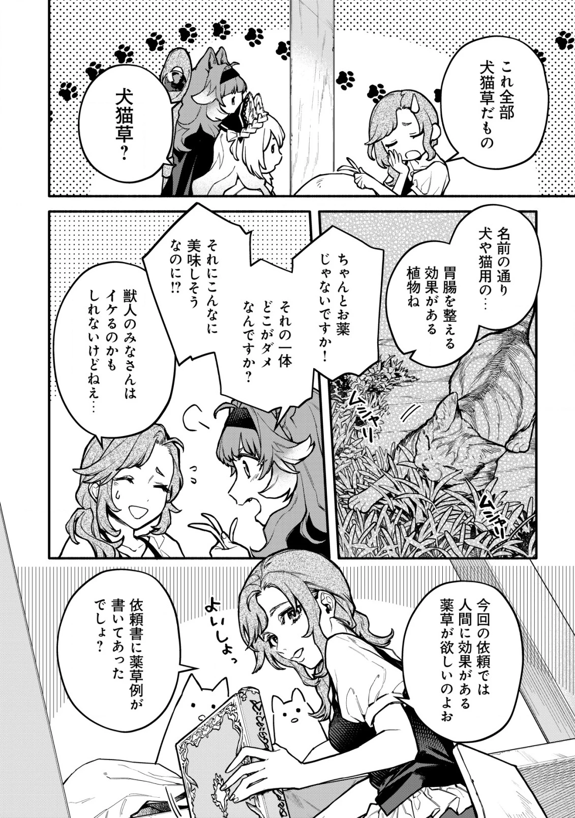 猫魔法が世界に革命を起こすそうですよ？ 第9話 - 3