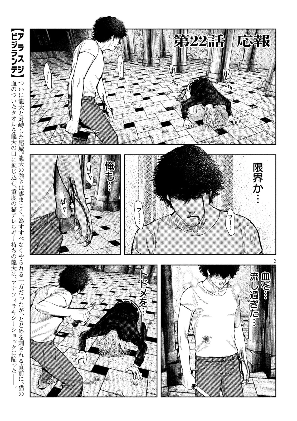 アマチュアビジランテ 第22話 - 3