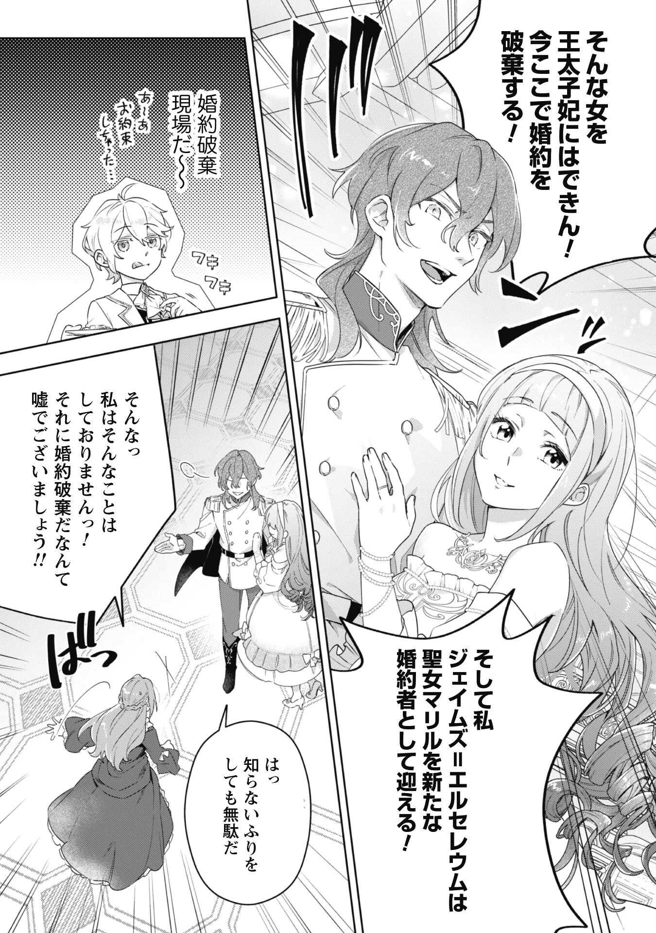 ハイブルク家三男は小悪魔ショタです 第1話 - 13