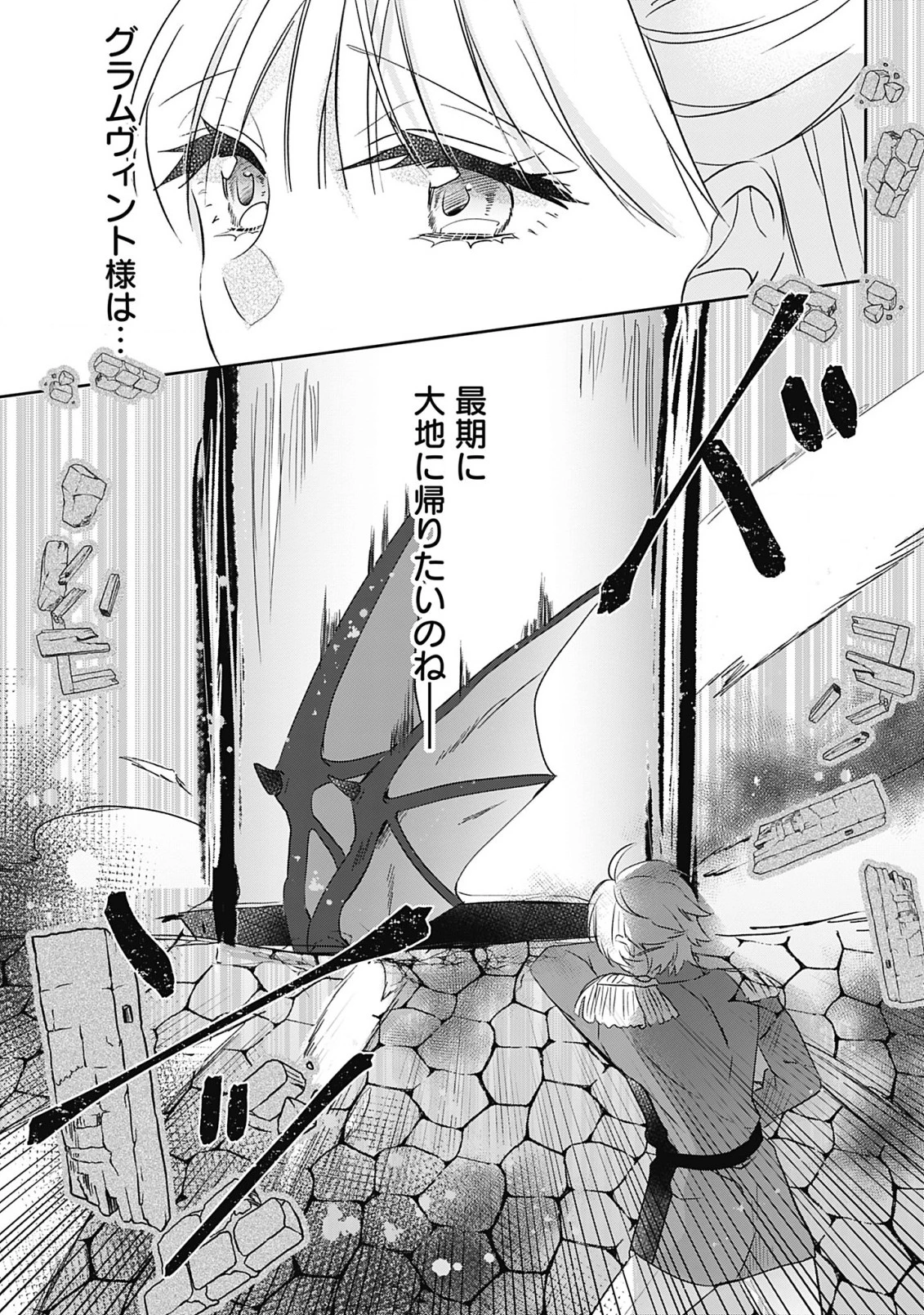 籠のなかの竜聖女 -虐げられた伯爵令嬢は、今日も溺愛されています- 第8.2話 - 19