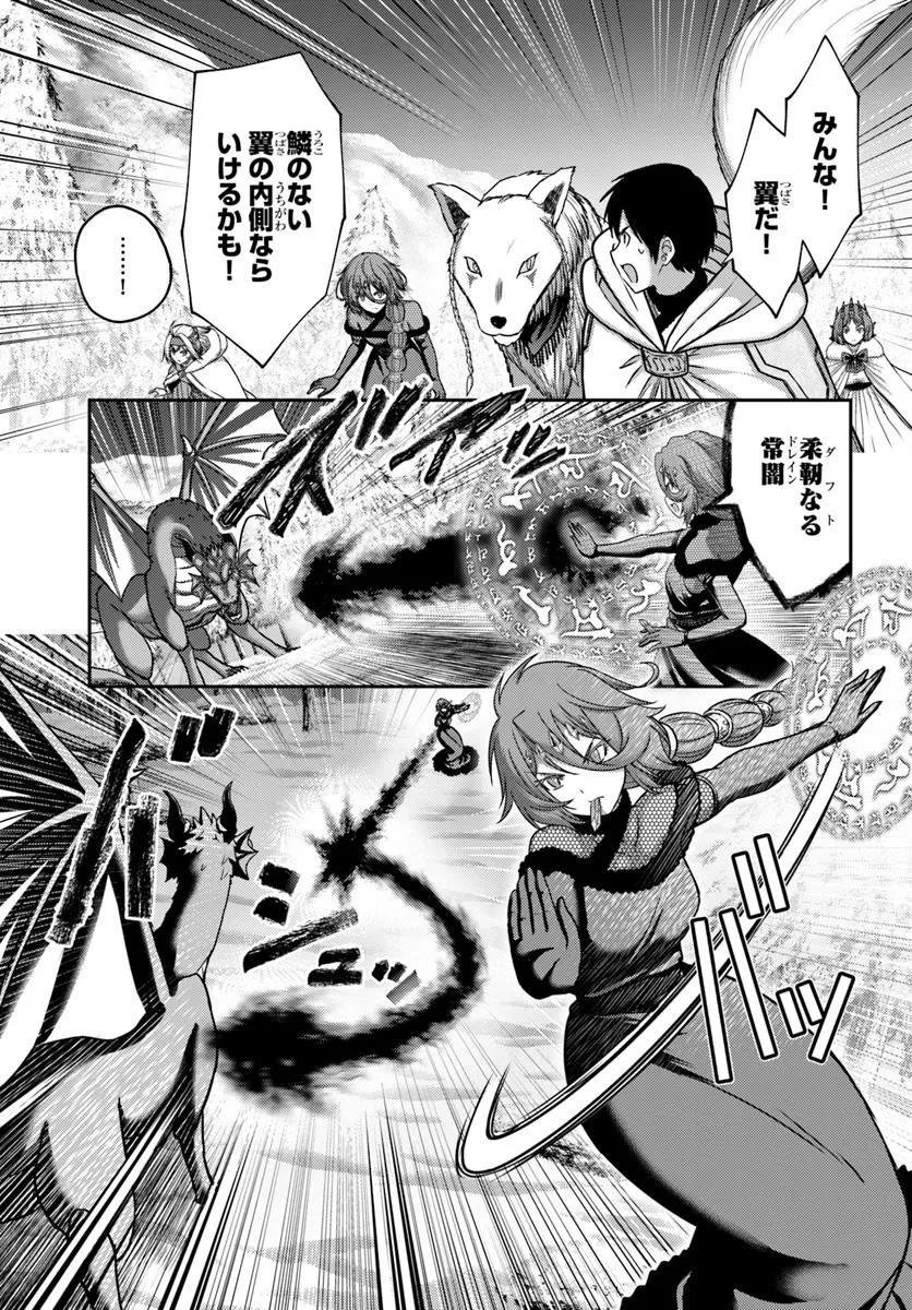 幼馴染のS級パーティーから追放された聖獣使い。万能支援魔法と仲間を増やして最強へ! 第44.2話 - 5