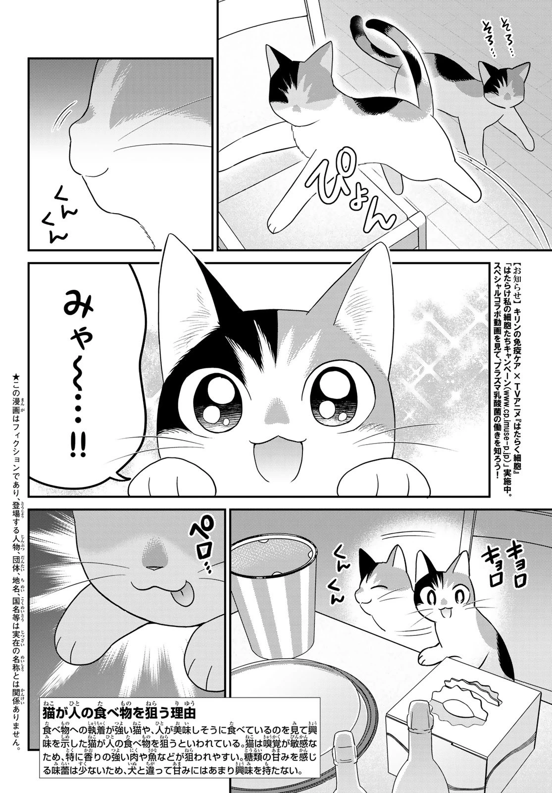 はたらく細胞猫 第16話 - 2