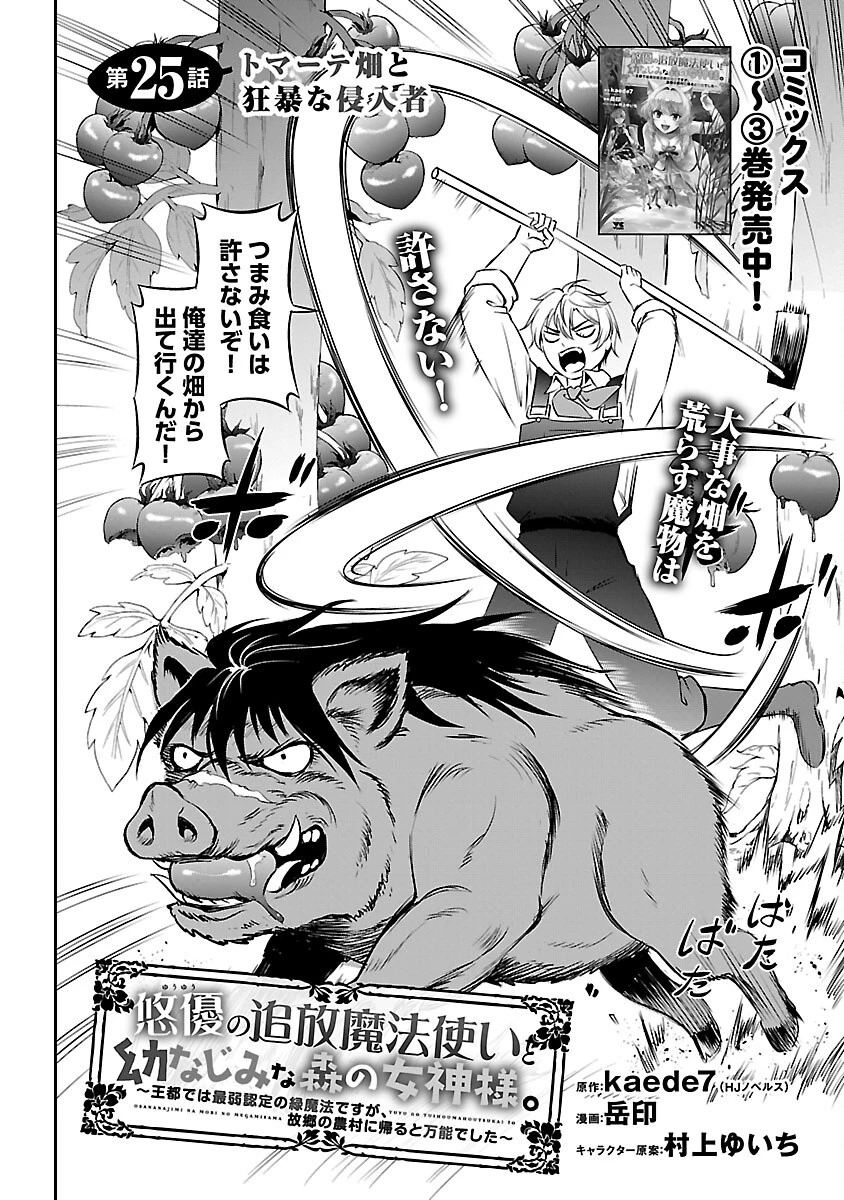 “悠優”の追放魔法使いと幼なじみな森の女神様。 第25話 - 4