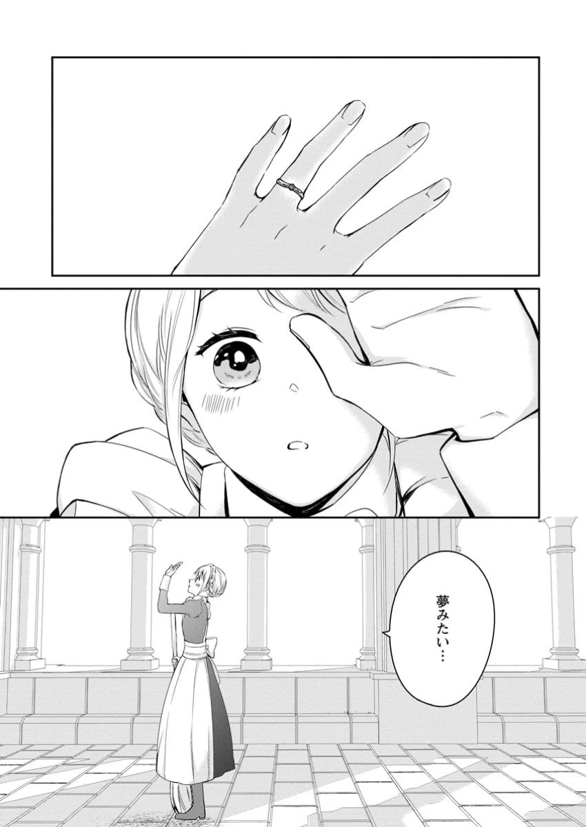 婚約破棄されたのでお掃除メイドになったら笑わない貴公子様に溺愛されました 第14.2話 - 6