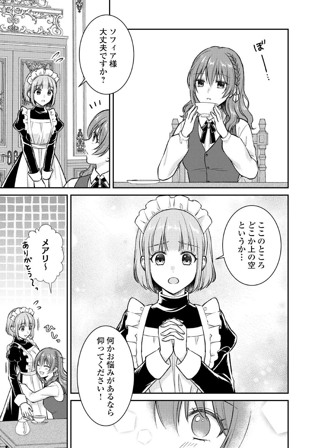 うそっ、侯爵令嬢を押し退けて王子の婚約者(仮)になった女に転生？―しかも今日から王妃教育ですって？― 第10話 - 17