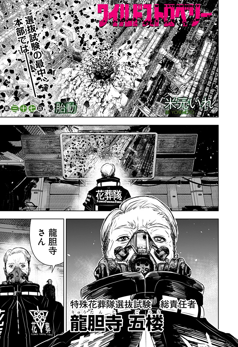 ワイルドストロベリー 第37話 - 1