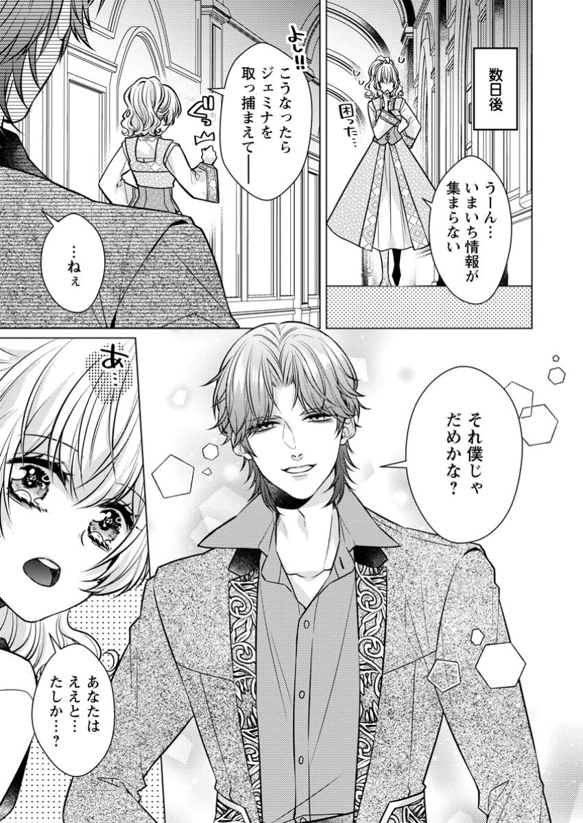 星屑の花嫁は運命の恋から逃げ出したい～王子様と強制結婚なんて無理！～ 第3.3話 - 2