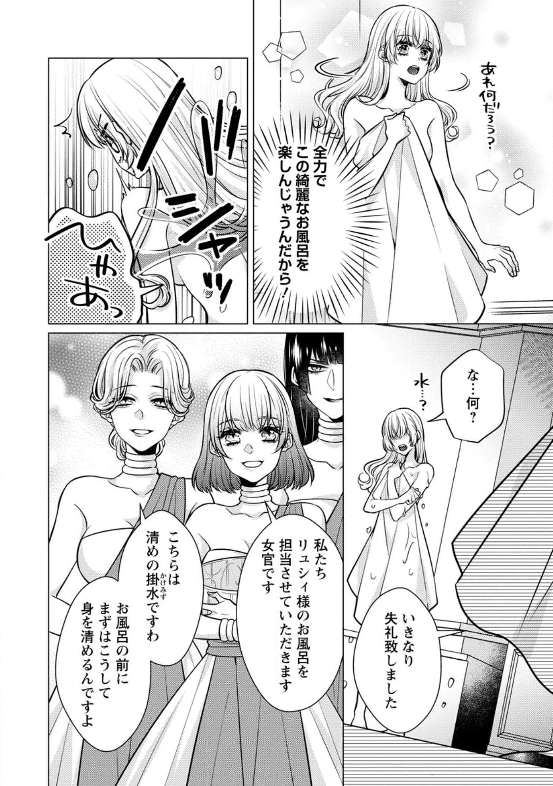 星屑の花嫁は運命の恋から逃げ出したい～王子様と強制結婚なんて無理！～ 第2.3話 - 3