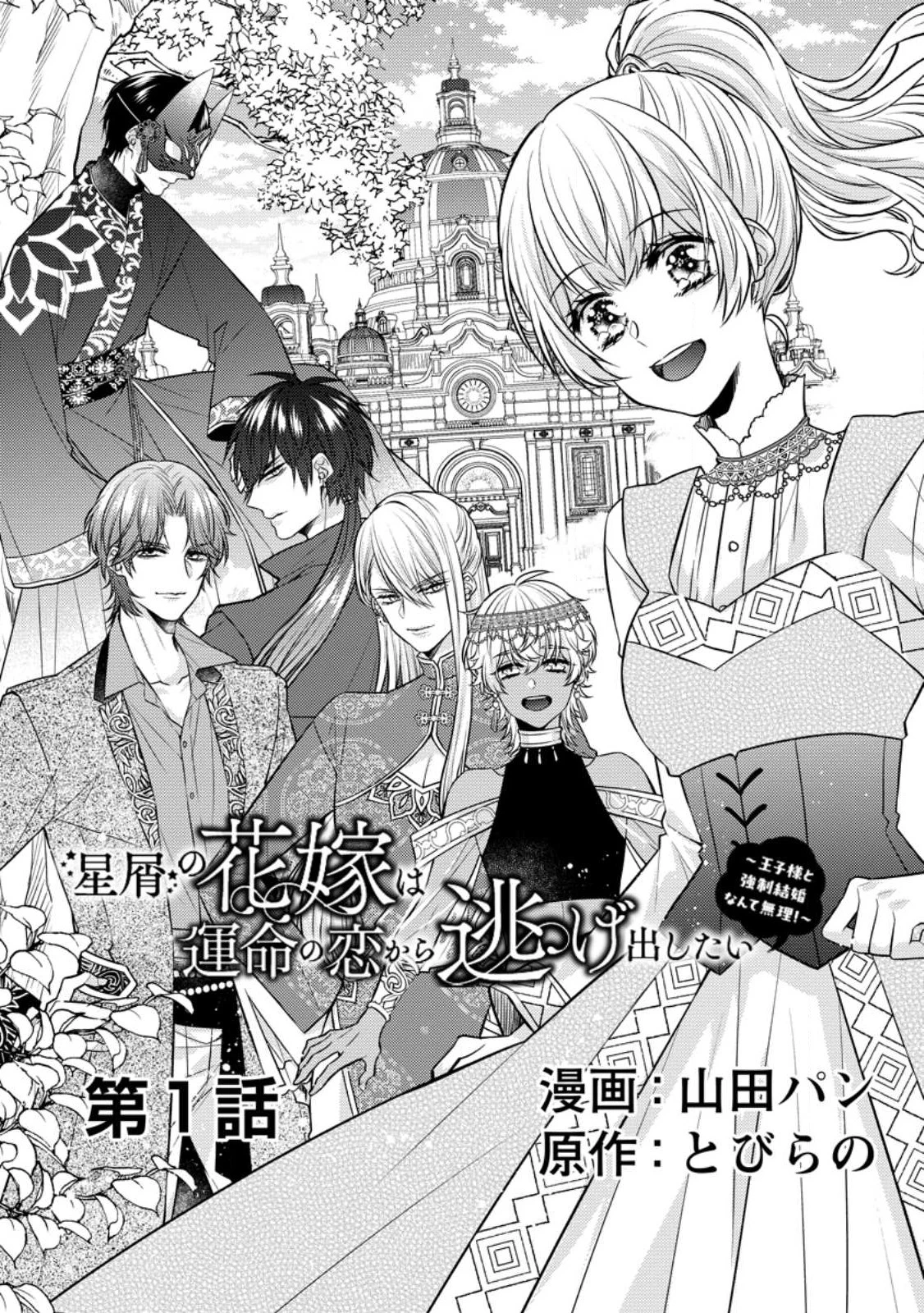 星屑の花嫁は運命の恋から逃げ出したい～王子様と強制結婚なんて無理！～ 第1話 - 3