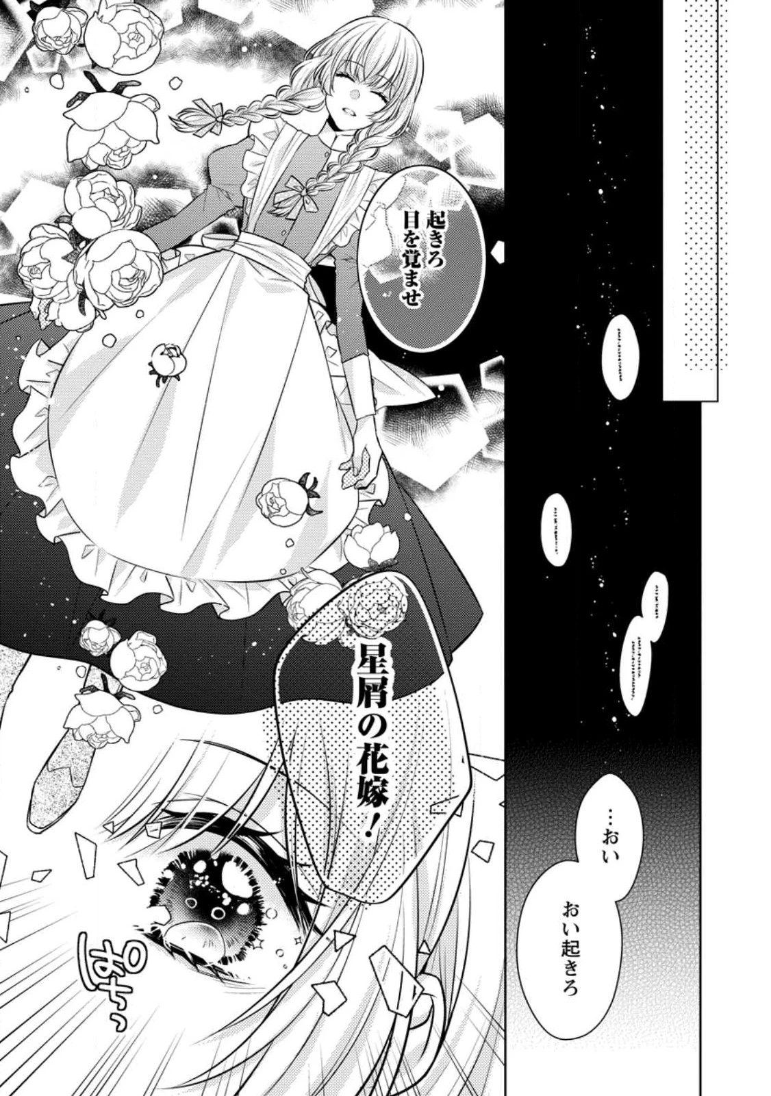 星屑の花嫁は運命の恋から逃げ出したい～王子様と強制結婚なんて無理！～ 第1話 - 35