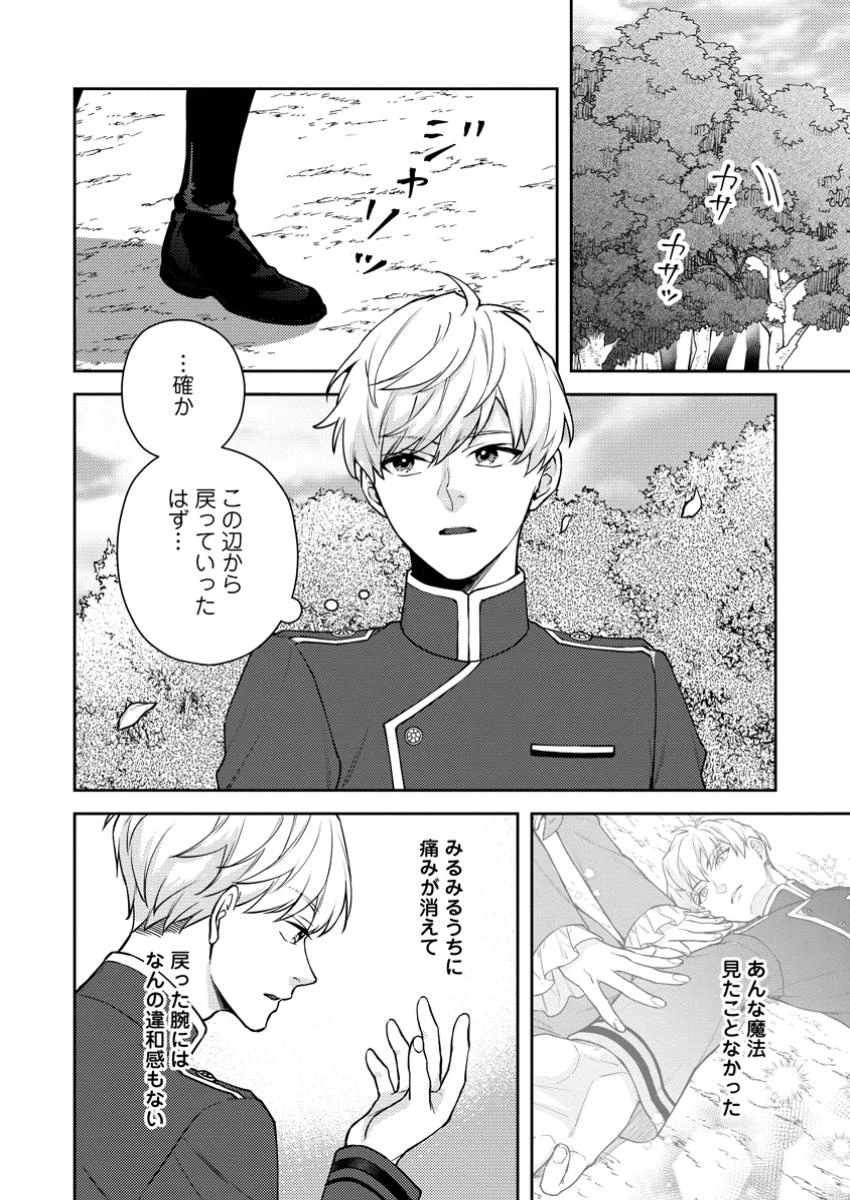 ヴェールの聖女～醜いと誤解された聖女、イケメン護衛騎士に溺愛される～ 第15話 - 4