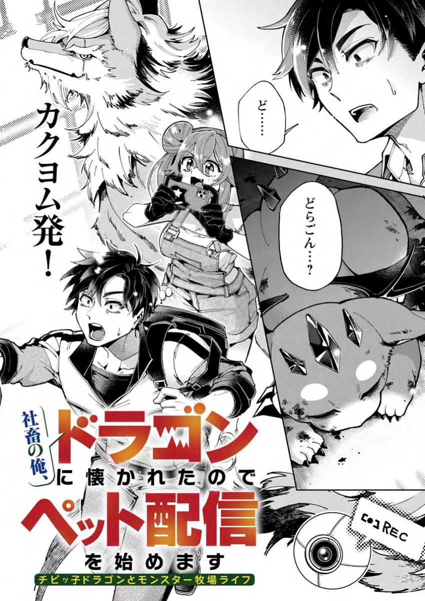 社畜の俺、ドラゴンに懐かれたのでペット配信を始めます～チビッ子ドラゴンとモンスター牧場ライフ～ 第1話 - 2