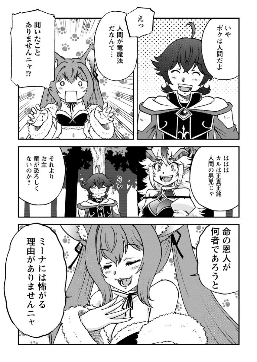 竜王に拾われて魔法を極めた少年、追放を言い渡した家族の前でうっかり無双してしまう～兄上たちが僕の仲間を攻撃するなら、徹底的にやり返します～ 第6.1話 - 3