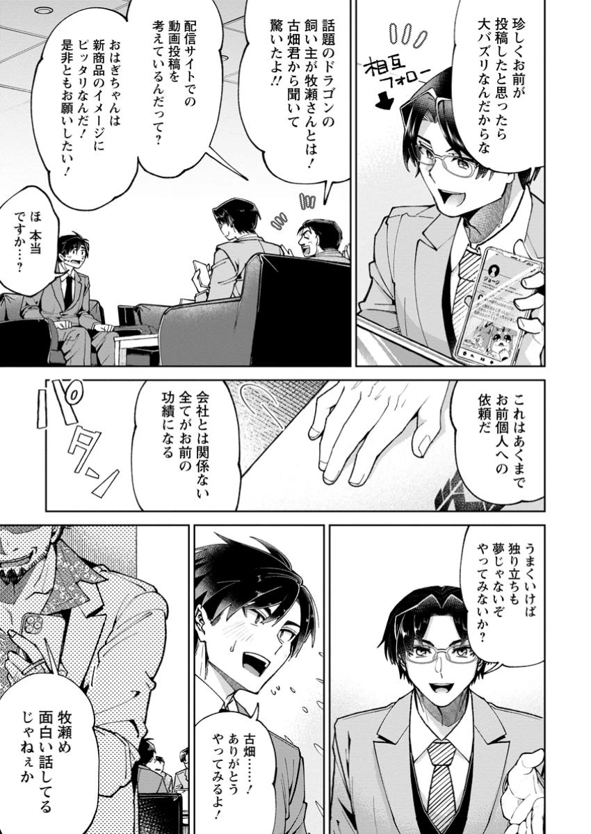 社畜の俺、ドラゴンに懐かれたのでペット配信を始めます～チビッ子ドラゴンとモンスター牧場ライフ～ 第2話 - 9