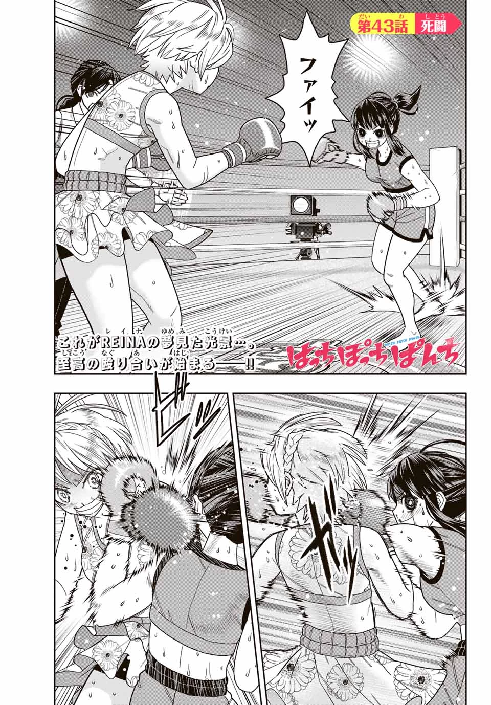 はっちぽっちぱんち 第43話 - 1