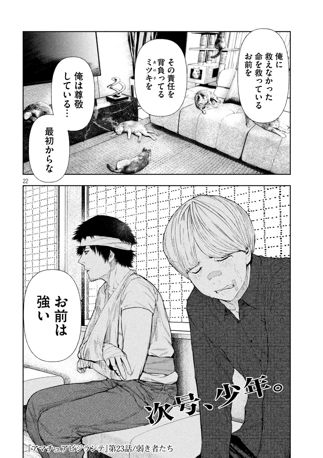 アマチュアビジランテ 第23話 - 22