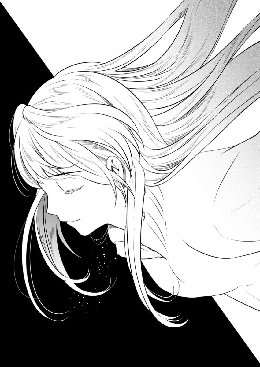 騙され裏切られ処刑された私が……誰を信じられるというのでしょう? 第34.1話 - 5