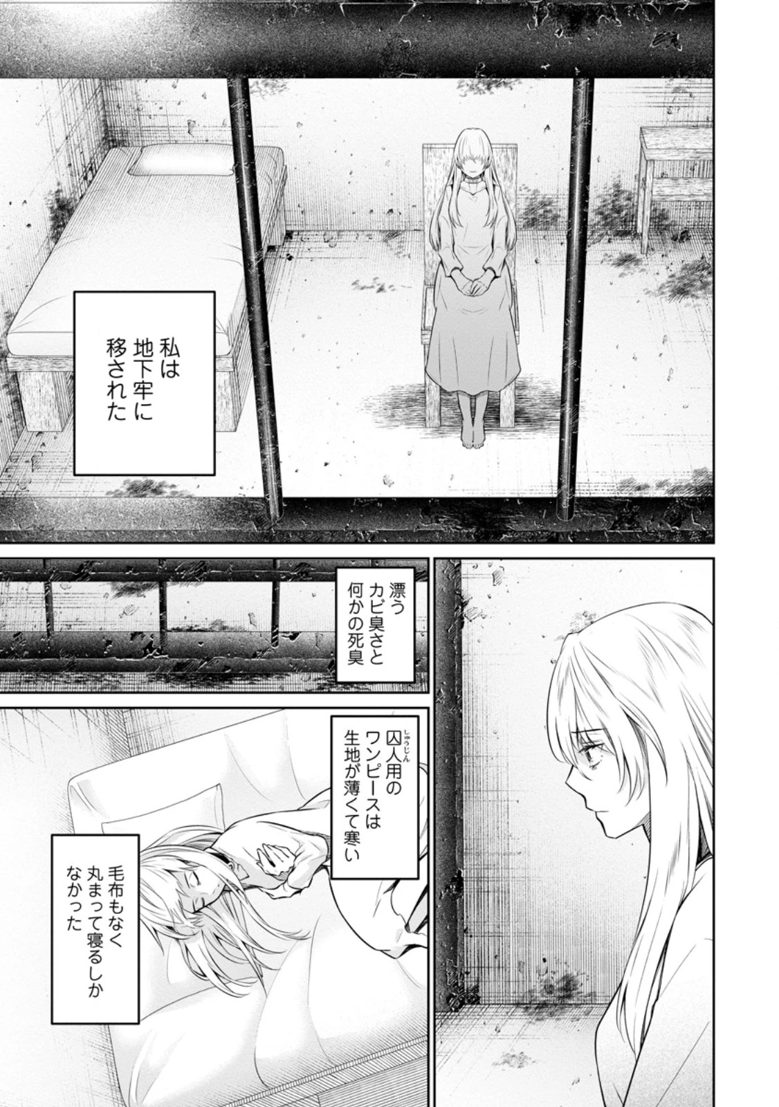 騙され裏切られ処刑された私が……誰を信じられるというのでしょう? 第33.3話 - 7