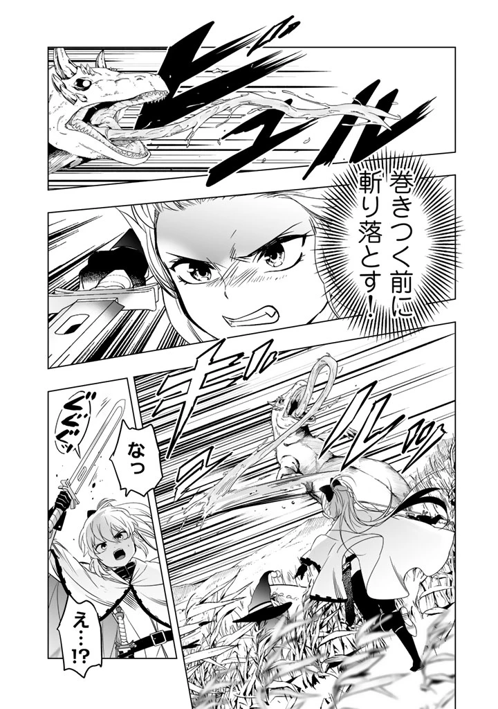 DORAKEN・CODE 訳ありの竜と呪われた姫 第2話 - 8