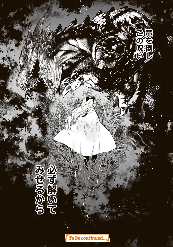 DORAKEN・CODE 訳ありの竜と呪われた姫 第1話 - 22