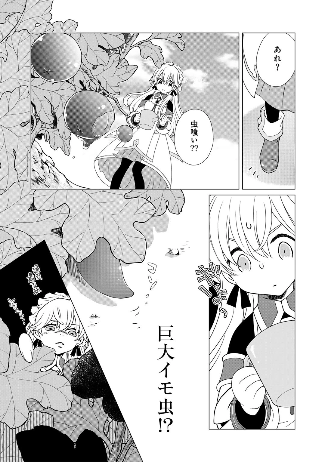 チートで家庭菜園～多分私が精霊姫だけど、他に名乗り出た者がいるので、家庭菜園しちゃいます～ 第5話 - 5