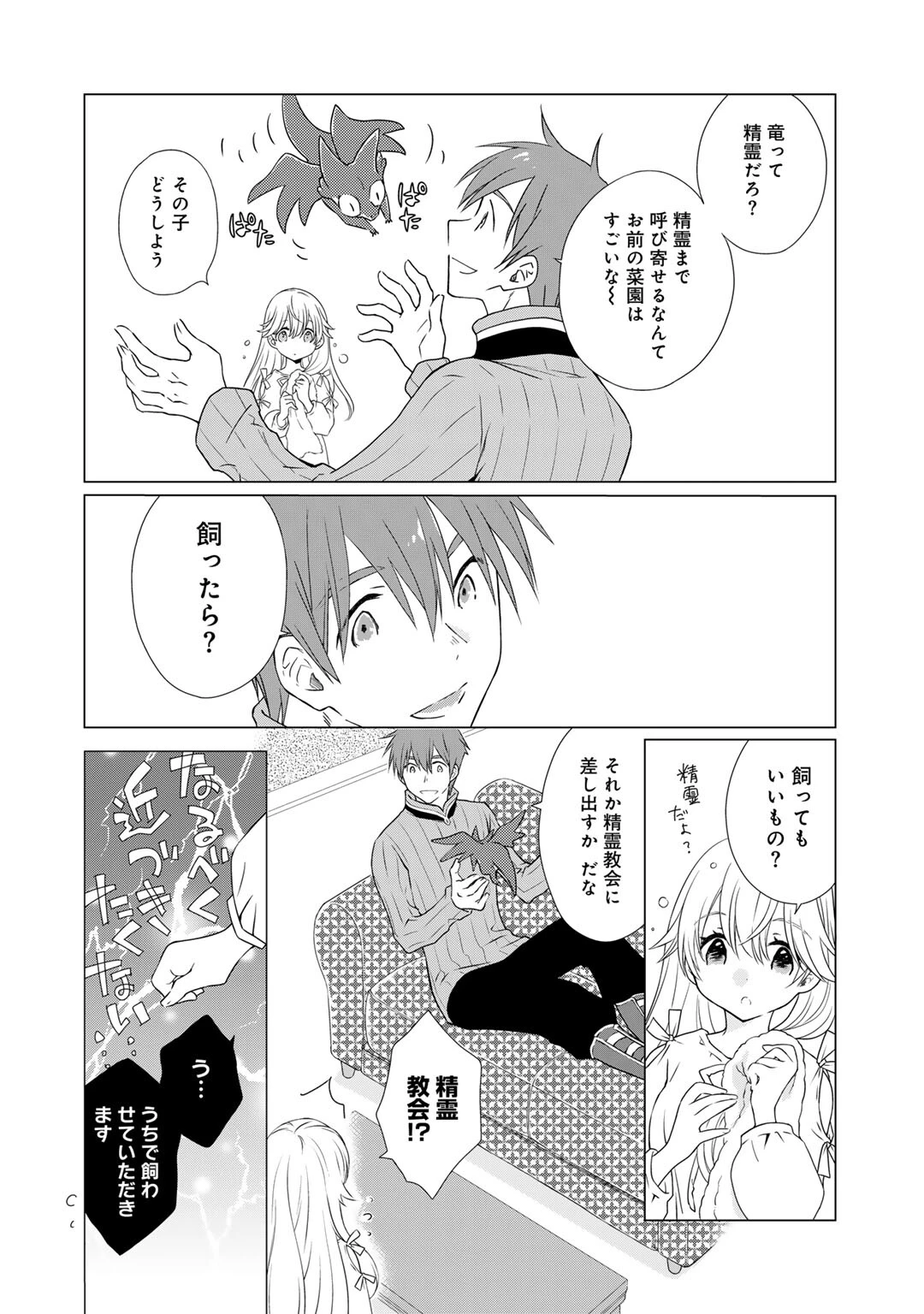 チートで家庭菜園～多分私が精霊姫だけど、他に名乗り出た者がいるので、家庭菜園しちゃいます～ 第5話 - 12