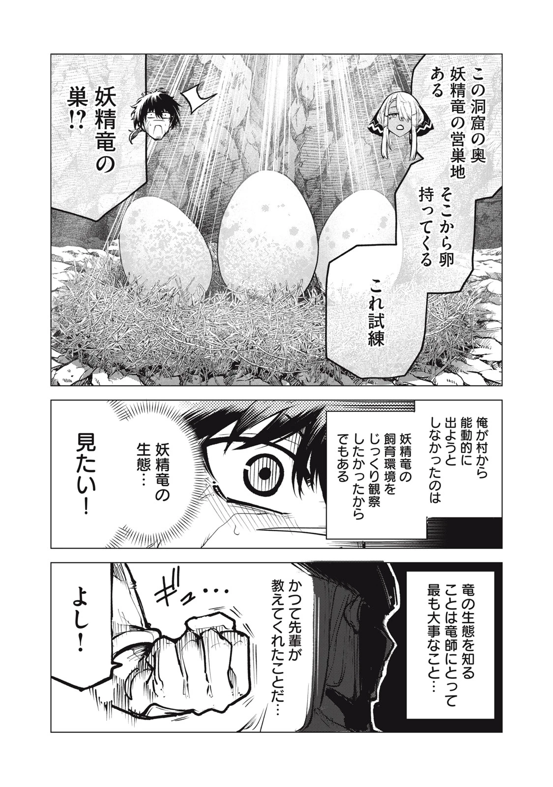 国を追われた竜師さん、拾われた隣国でうっかり無双してしまう。〜弱小国家が大陸最強の竜の楽園になるまで〜 第16.1話 - 11