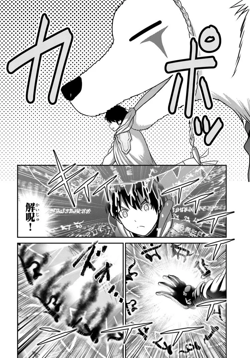 幼馴染のS級パーティーから追放された聖獣使い。万能支援魔法と仲間を増やして最強へ! 第45話 - 12