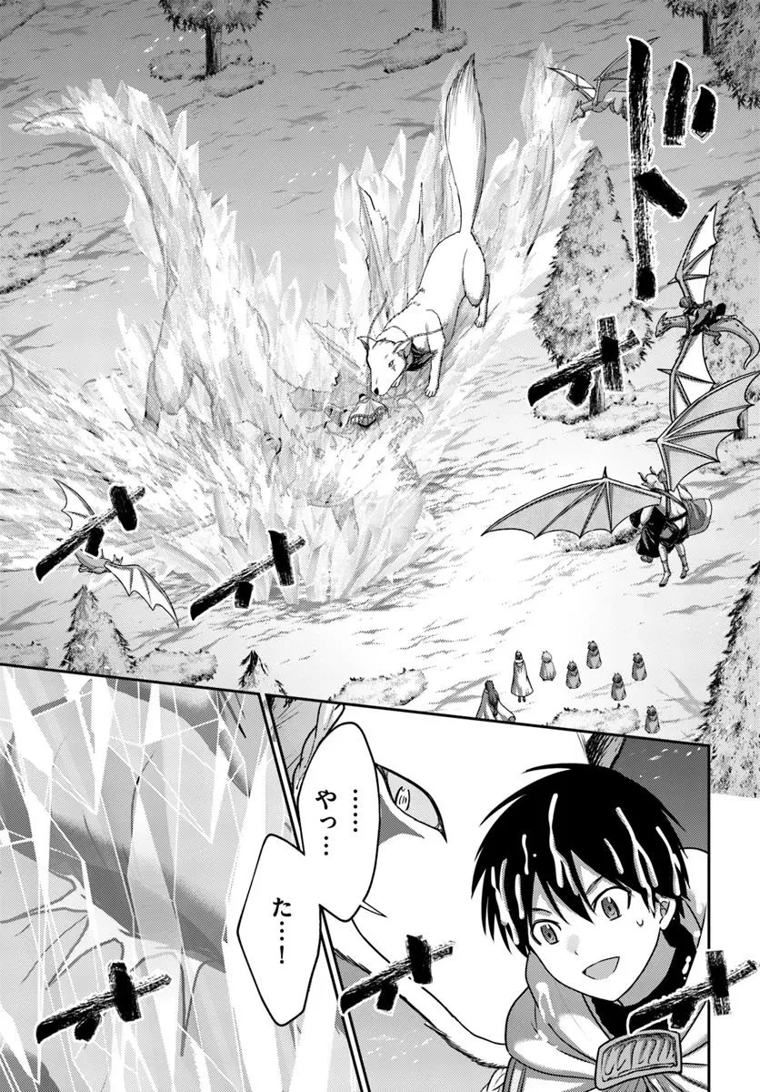 幼馴染のS級パーティーから追放された聖獣使い。万能支援魔法と仲間を増やして最強へ! 第45話 - 15