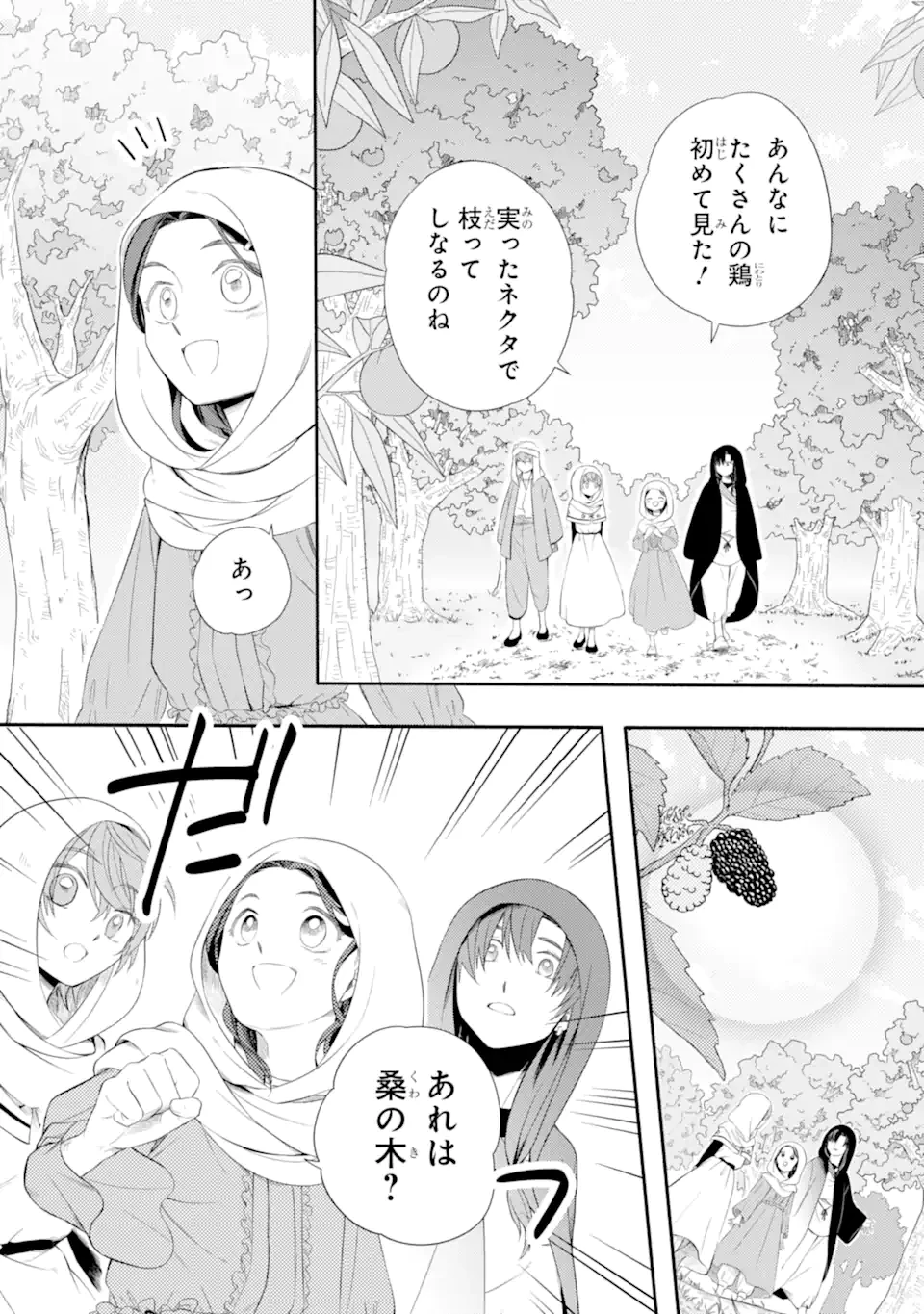 砂漠の国の雨降らし姫～前世で処刑された魔法使いは農家の娘になりました～ 第12.2話 - 13