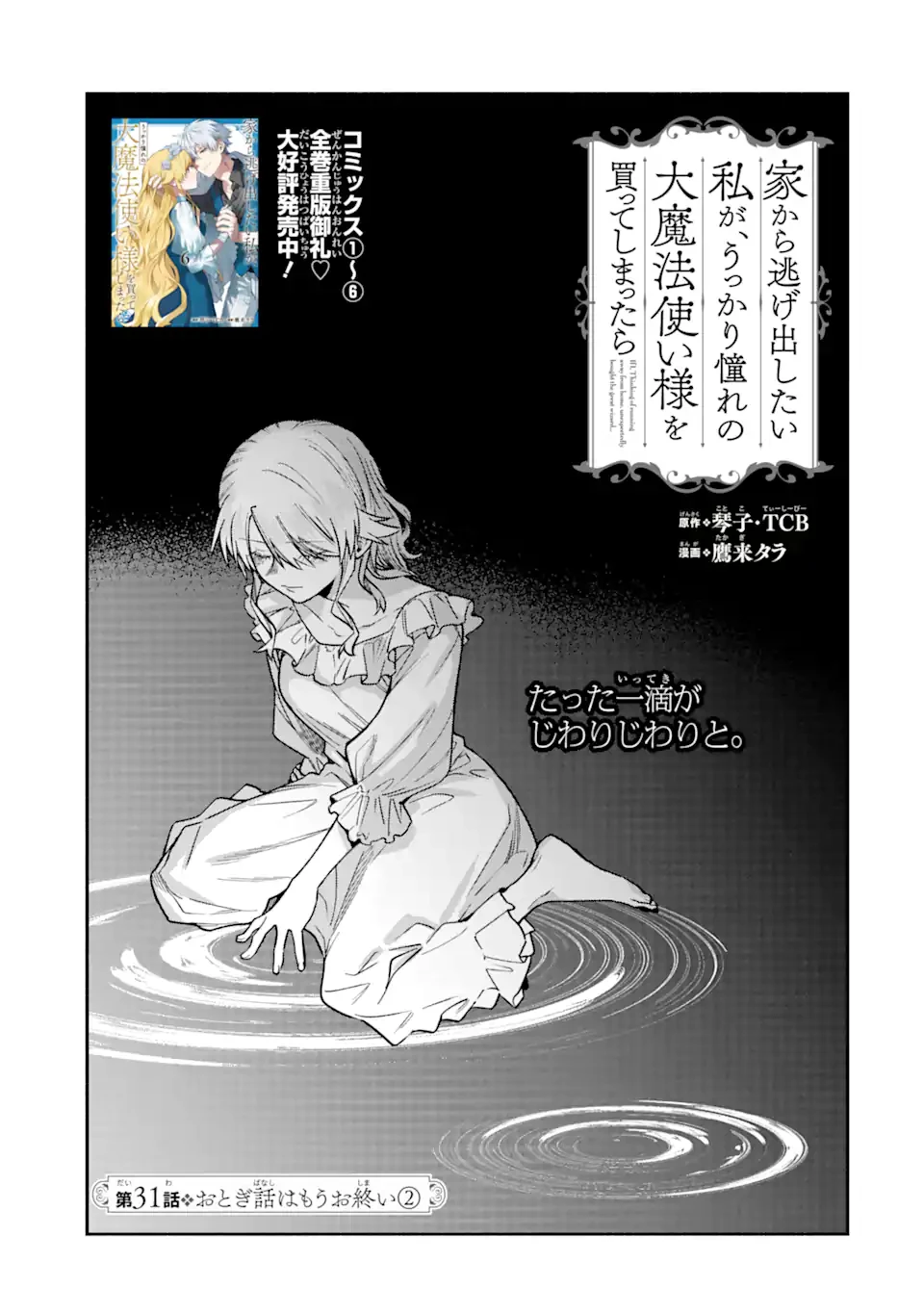 家から逃げ出したい私が、うっかり憧れの大魔法使い様を買ってしまったら 第31.1話 - 9