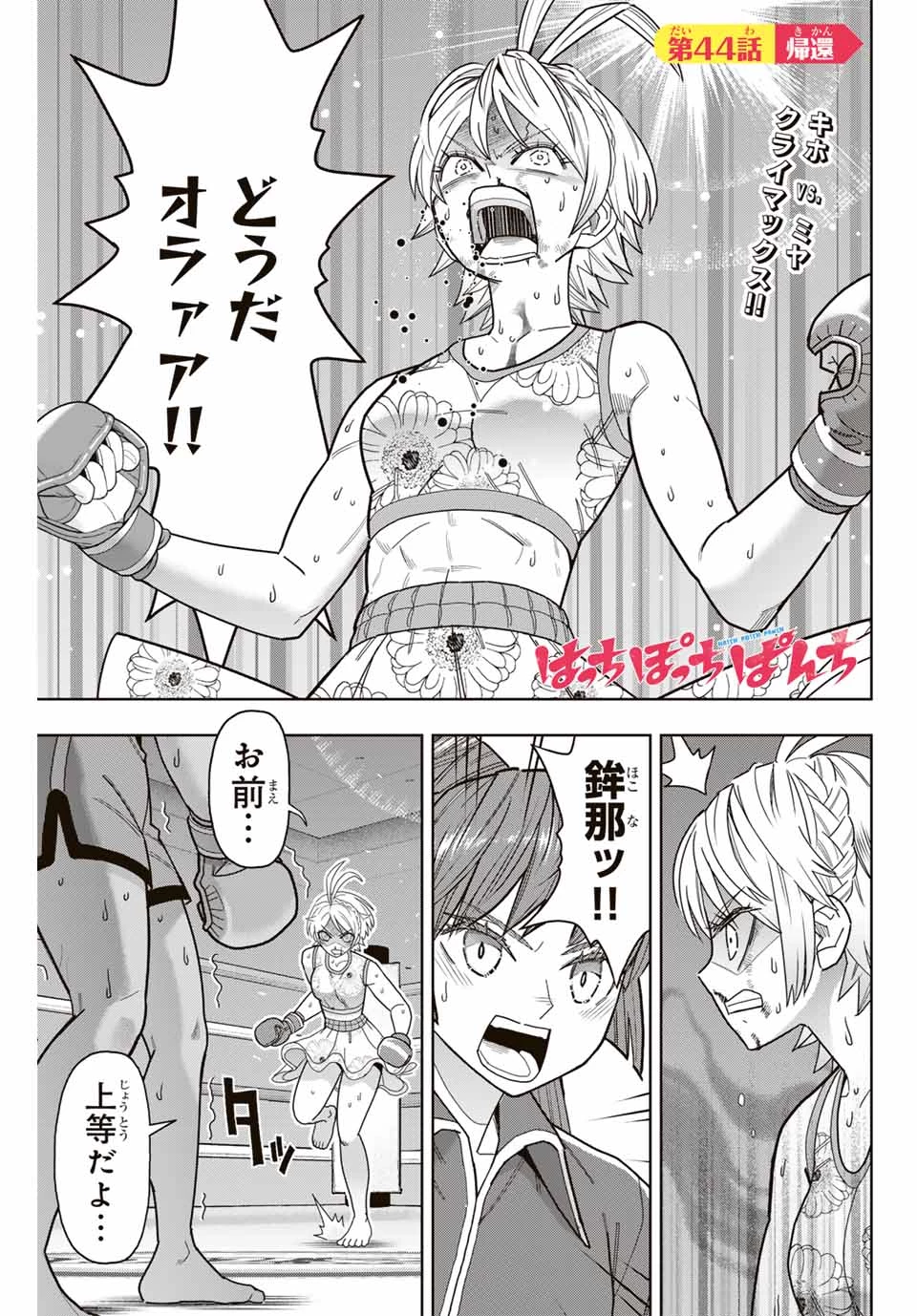 はっちぽっちぱんち 第44話 - 1